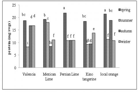 The interaction of season and species effects on the total protein content