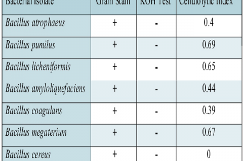 Cellulolytic Index Gram's Stain and KOH Test of cellulolytic gut bacteria 