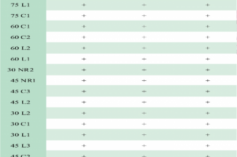 Biochemical tests of the selected isolates of Azospirillum  spp