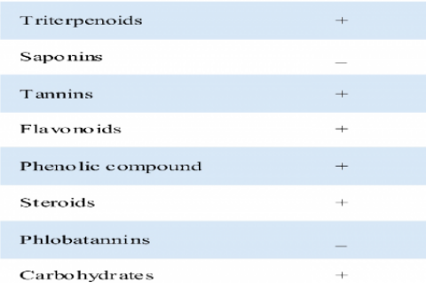 Details of forward and reverse primer used for PCR amplification constituents