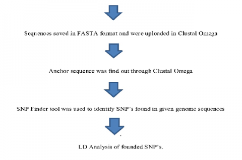 Flowchart of Methodology.