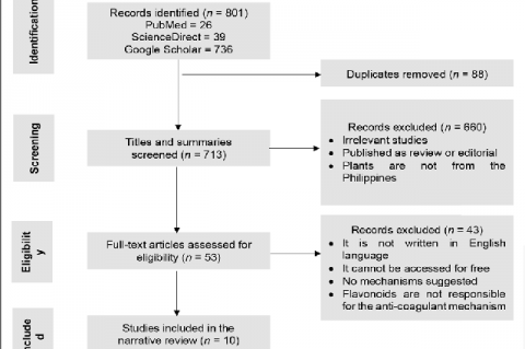 Flowchart of the study selection process