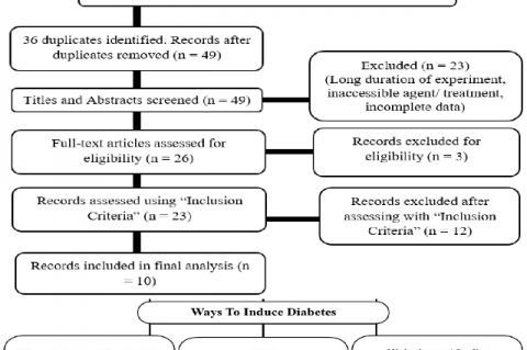 Flowchart for inclusion criteria. Remove the apostrophes