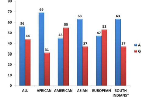 Allele frequency for rs1474868polymorphism of MFN2 gene in different populations from around the world