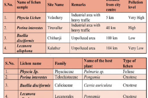 Determination of Toxic Heavy Metals in four Different Lichen Species of Tamil Nadu, India