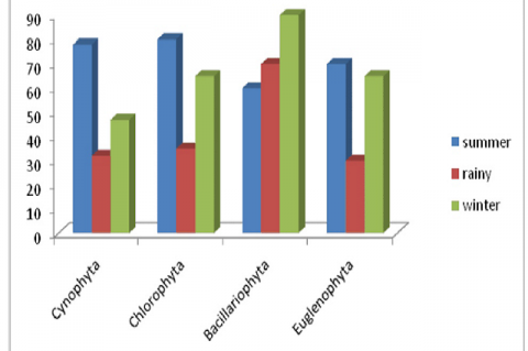 Percentage composition of phytoplankton from site I