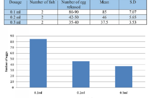 Effect of Natrum Muriaticum on Fecundity in Goldfish,  Carassius auratus