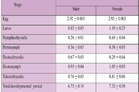 Duration of development stages of T. urticae on okra. 