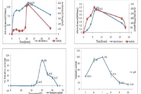 Biotransformation of Succinodinitrile into Corresponding High value Compounds using Nitrile Hydrolysing Enzyme from Microbacterium paraoxydans RS15