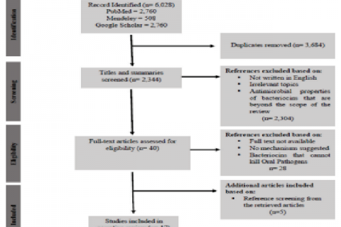 Flow Chart of Study Selection Process