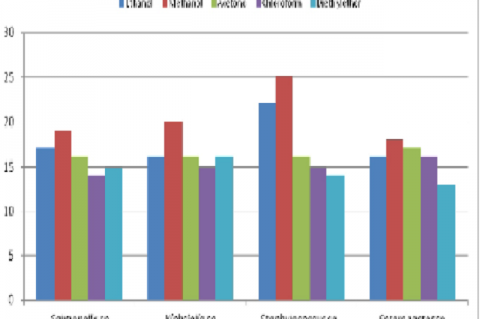 Antimicrobial activity of Cymbopogon citratus 