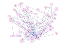 Identity graph of the 64 codons.