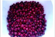 Fruits of Ixora coccinea.