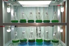 Experimental setup.